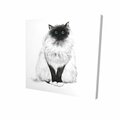 Fondo 16 x 16 in. Blue Eyes Fluffy Siamese Cat-Print on Canvas FO2791982